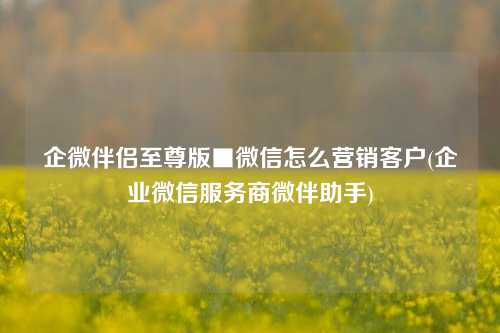 企微伴侣至尊版■微信怎么营销客户(企业微信服务商微伴助手)