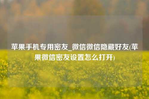 苹果手机专用密友_微信微信隐藏好友(苹果微信密友设置怎么打开)