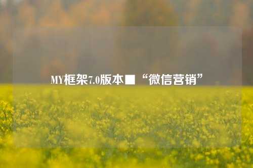 MY框架7.0版本■“微信营销”