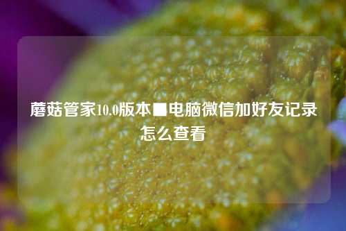 蘑菇管家10.0版本■电脑微信加好友记录怎么查看