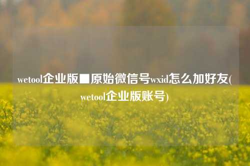 wetool企业版■原始微信号wxid怎么加好友(wetool企业版账号)