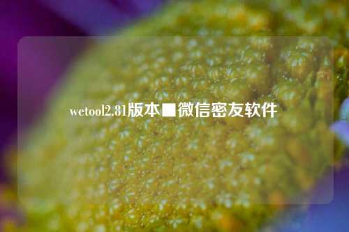 wetool2.81版本■微信密友软件