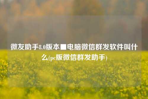 微友助手8.0版本■电脑微信群发软件叫什么(pc版微信群发助手)