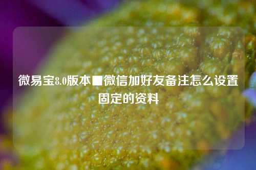 微易宝8.0版本■微信加好友备注怎么设置固定的资料