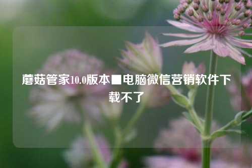 蘑菇管家10.0版本■电脑微信营销软件下载不了