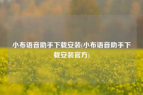 小布语音助手下载安装(小布语音助手下载安装官方)