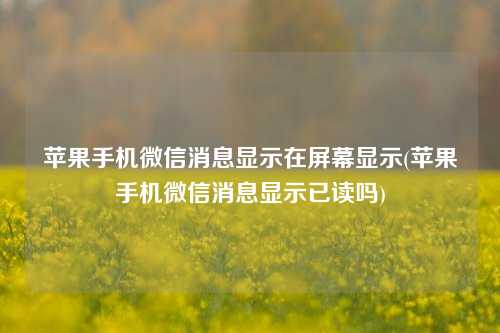 苹果手机微信消息显示在屏幕显示(苹果手机微信消息显示已读吗)