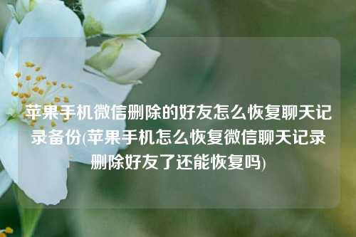 苹果手机微信删除的好友怎么恢复聊天记录备份(苹果手机怎么恢复微信聊天记录删除好友了还能恢复吗)