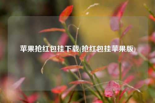 苹果抢红包挂下载(抢红包挂苹果版)