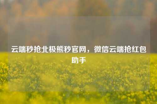 云端秒抢北极熊秒官网，微信云端抢红包助手