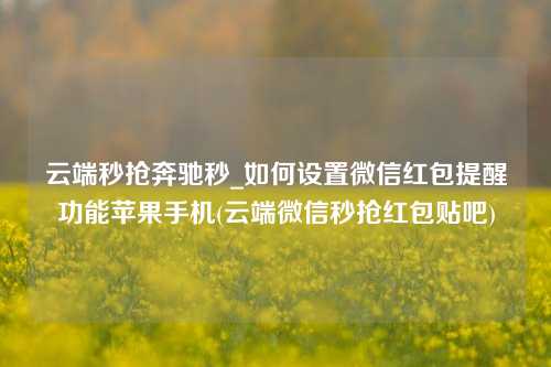 云端秒抢奔驰秒_如何设置微信红包提醒功能苹果手机(云端微信秒抢红包贴吧)