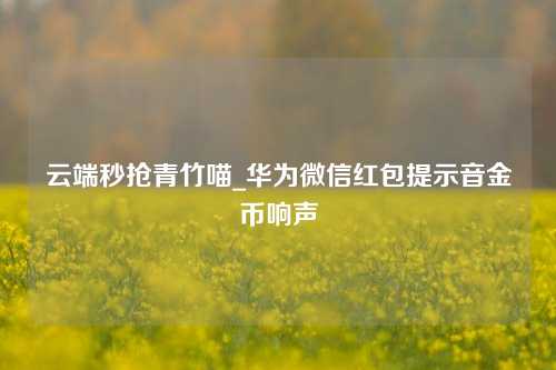 云端秒抢青竹喵_华为微信红包提示音金币响声