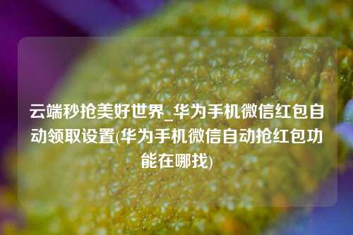 云端秒抢美好世界_华为手机微信红包自动领取设置(华为手机微信自动抢红包功能在哪找)