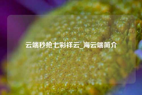 云端秒抢七彩祥云_海云端简介