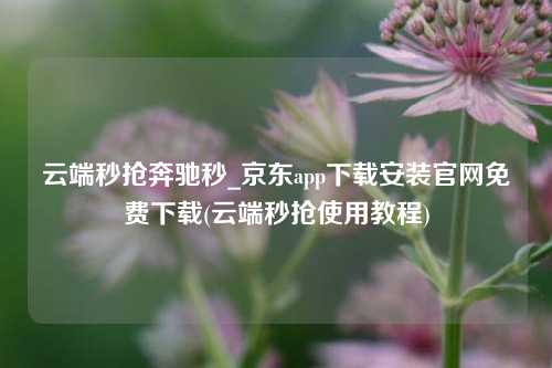 云端秒抢奔驰秒_京东app下载安装官网免费下载(云端秒抢使用教程)