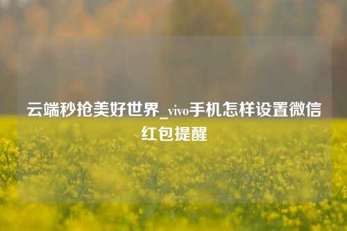 云端秒抢美好世界_vivo手机怎样设置微信红包提醒